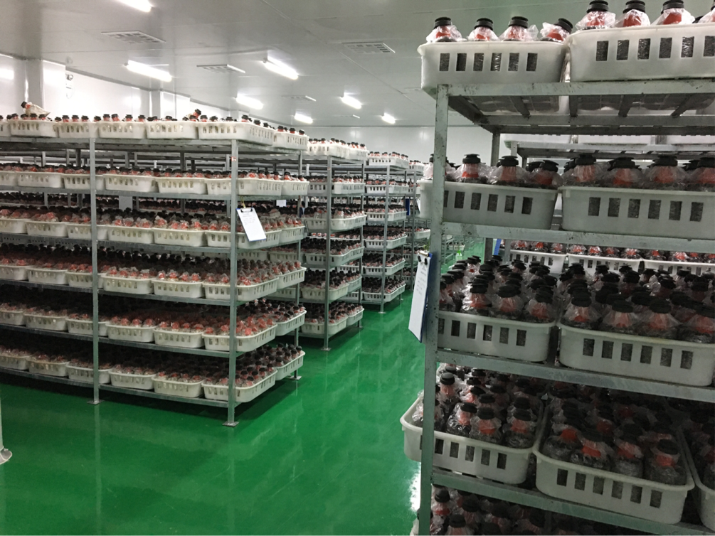 游艇会·yth206(中国)最新官方网站