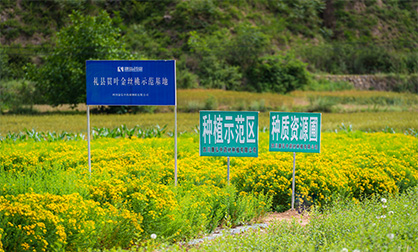 55世纪-购彩大厅welcome(中国游)官方网站